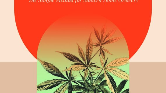 How to Grow a Great Cannabis Crop for Around $20 PDF