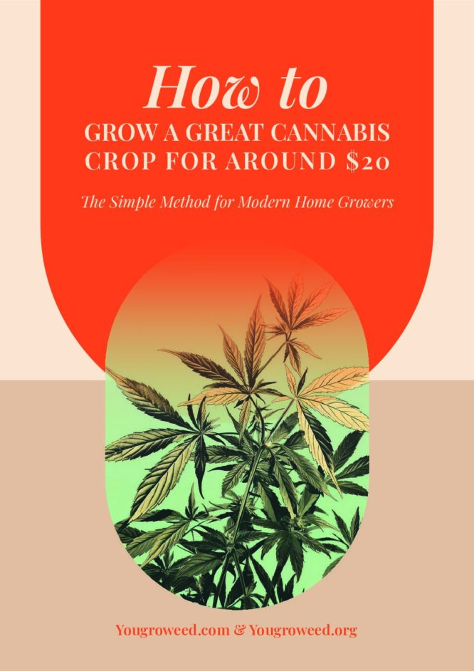 How to Grow a Great Cannabis Crop for Around $20 PDF